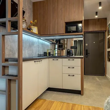 Boutique 2 Radisson View Calea Victoriei Apartment Bukarest