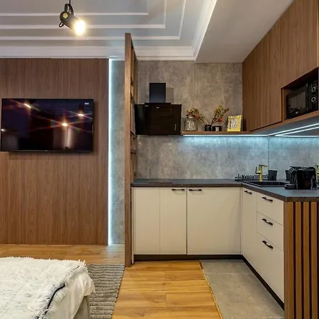Boutique 2 Radisson View Calea Victoriei Apartamento *